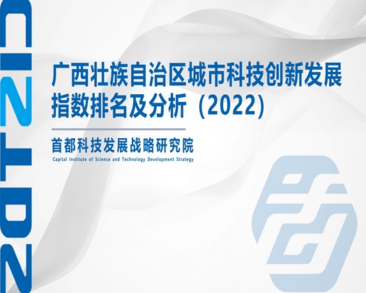 操逼视频美女_【成果发布】广西壮族自治区城市科技创新发展指数排名及分析（2022）